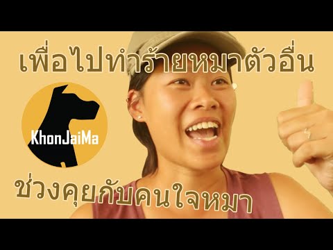 ช่วงคุยกับ Khon Jai Ma | ปัญหาน้องหมากระชากสายจูงเวลาเดิน เพื่อไปทำร้ายหมาตัวอื่น