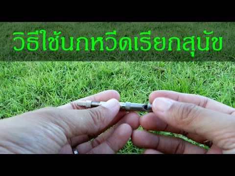 Khon Jai Ma | วิธีใช้นกหวีดเรียกสุนัข