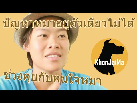ช่วงคุยกับ Khon Jai Ma | ปัญหาหมาทำลายข้าวของเวลาเจ้าของไม่อยู่บ้าน