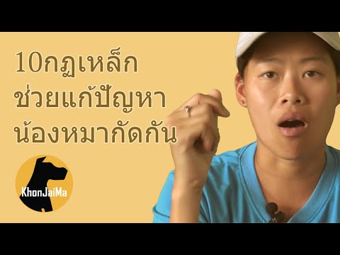 ช่วงคุยกับ Khon Jai Ma | 10กฏเหล็ก ช่วยแก้ปัญหาน้องหมากัดกัน