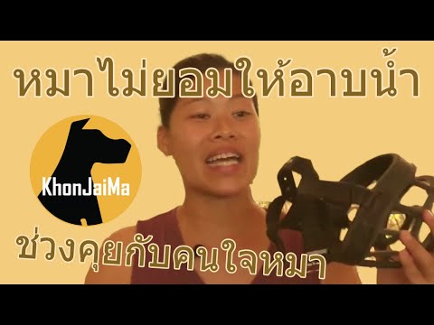 ช่วงคุยกับ Khon Jai Ma | ปัญหาน้องหมาไม่ยอมให้อาบน้ำ