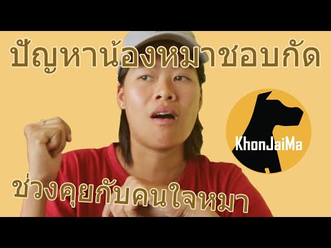 ช่วงคุยกับ Khon Jai Ma | ปัญหาน้องหมาชอบกัด และกระชากเวลาจูงเดิน