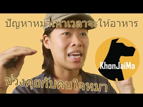 ช่วงคุยกับ Khon Jai Ma | ปัญหาหมาเห่าเวลาจะให้อาหาร