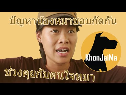 ช่วงคุยกับ Khon Jai Ma | ปัญหาน้องหมาชอบกัดกัน และหวงเจ้าของ