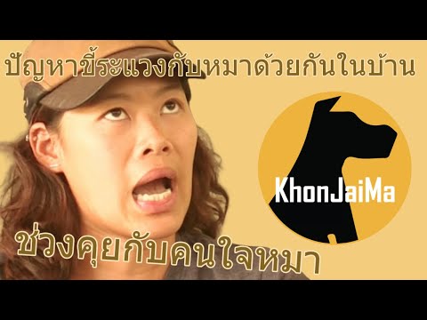 ช่วงคุยกับ Khon Jai Ma | ปัญหาขี้ระแวงกับหมาด้วยกันในบ้าน