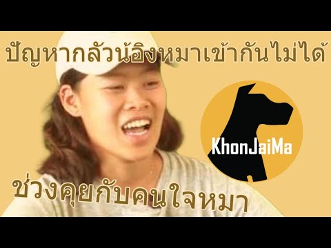 ช่วงคุยกับ Khon Jai Ma | ปัญหากลัวน้อิงหมาเข้ากันไม่ได้