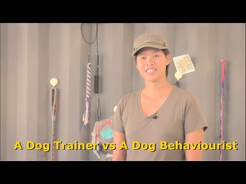 Khon Jai Ma | Dog Trainer vs Dog Behaviourist