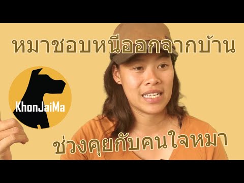 ช่วงคุยกับ Khon Jai Ma | ปัญหาหมาน้องหมาชอบหนีออกจากบ้าน