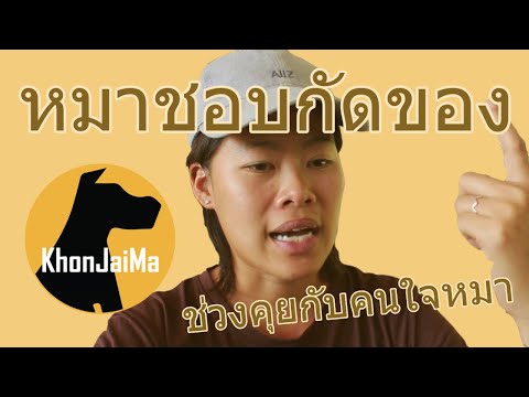 ช่วงคุยกับ Khon Jai Ma | ปัญหาน้องหมาชอบกัดของ และไม่เดินตามสายจูง