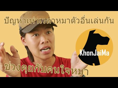 ช่วงคุยกับ Khon Jai Ma | ปัญหาเห่าเวลาหมาตัวอื่นเล่นกัน