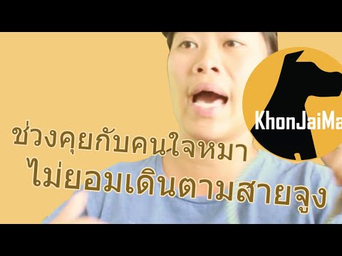 ช่วงคุยกับ Khon Jai Ma | ปัญหาน้องหมาในฝูง 3 ตัวไม่ยอมเดินตามสายจูง