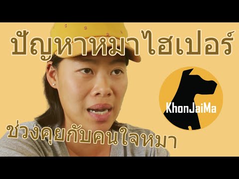 ช่วงคุยกับ Khon Jai Ma | ปัญหาน้องหมาไฮเปอร์เกิน