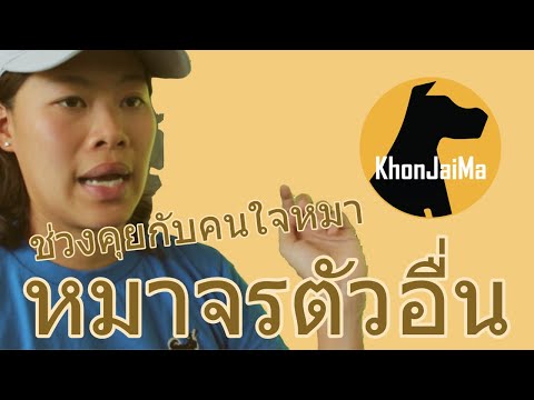 ช่วงคุยกับ Khon Jai Ma | ปัญหาป้องกันตัวเองจากหมาจรตัวอื่น