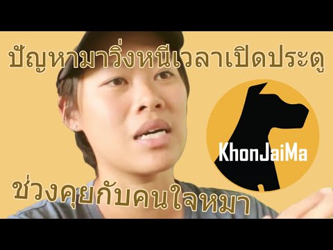 ช่วงคุยกับ Khon Jai Ma | ปัญหามาวิ่งหนีเวลาเปิดประตู/กระโจนใส่/แย่งเจ้าของ