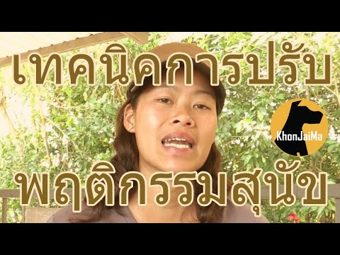 Khon Jai Ma | เทคนิคการปรับพฤติกรรมสุนัขของเพจคนใจหมา