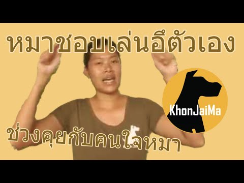 ช่วงคุยกับ Khon Jai Ma | ปัญหาน้องหมาชอบเล่นอึตัวเอง