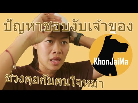 ช่วงคุยกับ Khon Jai Ma | ปัญหาชอบงับเจ้าของ