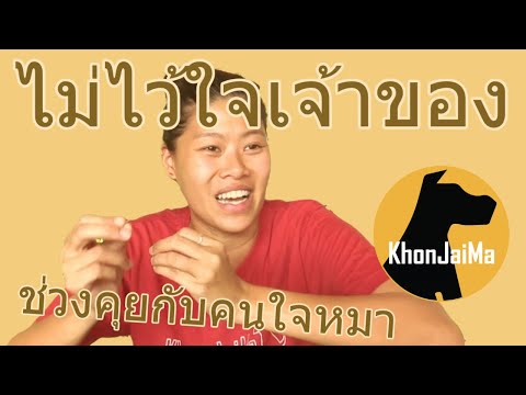 ช่วงคุยกับ Khon Jai Ma | ปัญหาน้องหมาหวงเนื้อหวงตัว ไม่ไว้ใจเจ้าของ