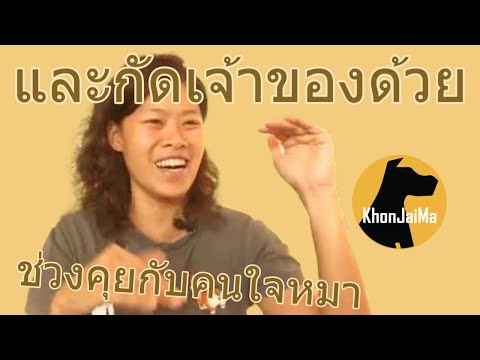 ช่วงคุยกับ Khon Jai Ma | ปัญหาหมาน้องหมาเข้ากับหมาตัวใหม่ไม่ได้ และกัดเจ้าของด้วย