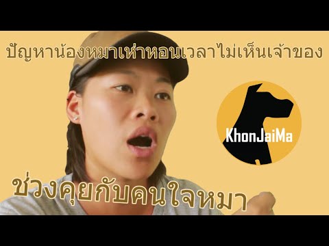 ช่วงคุยกับ Khon Jai Ma | ปัญหาน้องหมาเห่าหอนเวลาไม่เห็นเจ้าของ