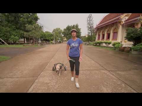 Khon Jai Ma | A walk Sprite