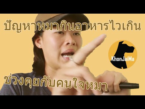 ช่วงคุยกับ Khon Jai Ma | ปัญหาหมากินอาหารไวเกิน