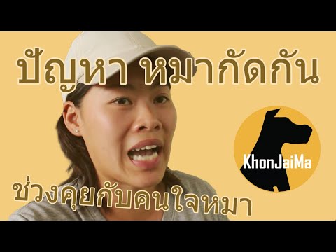 ช่วงคุยกับ Khon Jai Ma | ปัญหา​หมากัดกัน​