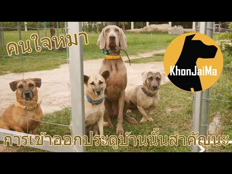 Khon Jai Ma | การเข้าออกประตูบ้านนั้นสำคัญนะ