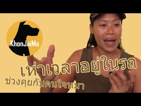 ช่วงคุยกับ Khon Jai Ma | ปัญหาน้องหมาขี้หงุดหงิด เห่าเวลาอยู่ในรถ