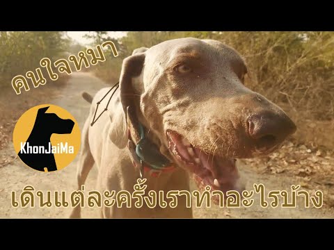 Khon Jai Ma | เดินแต่ละครั้งเราทำอะไรบ้าง