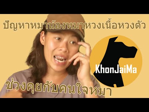 ช่วงคุยกับ Khon Jai Ma | ปัญหาหมาน้องหมาหวงเนื้อหวงตัว