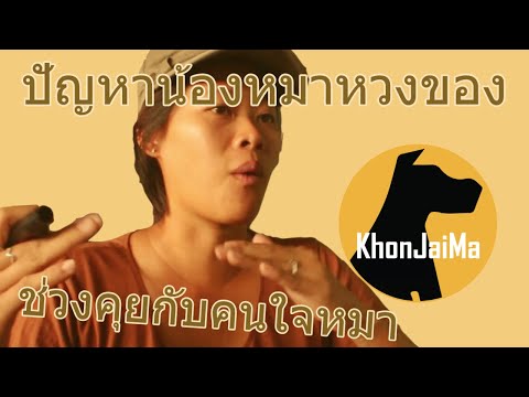 ช่วงคุยกับ Khon Jai Ma | ปัญหาน้องหมาหวงของ