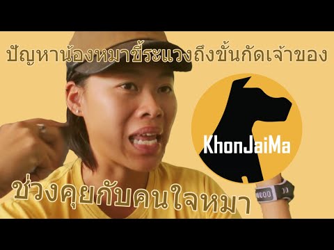 ช่วงคุยกับ Khon Jai Ma | ปัญหาน้องหมาขี้ระแวงถึงขั้นกัดเจ้าของ