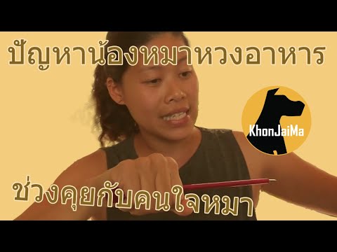 ช่วงคุยกับ Khon Jai Ma | ปัญหาน้องหมาหวงอาหาร