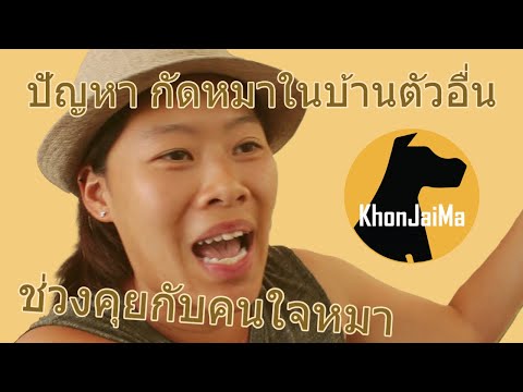 ช่วงคุยกับ Khon Jai Ma | ปัญหา กัดหมาในบ้านตัวอื่น