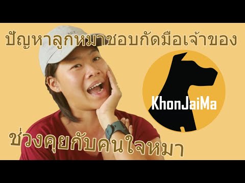 ช่วงคุยกับ Khon Jai Ma | ปัญหาลูกหมาชอบกัดมือเจ้าของ