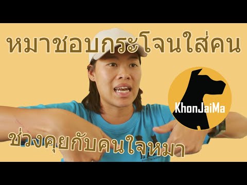 ช่วงคุยกับ Khon Jai Ma | ปัญหาน้องหมาชอบกระโจนใส่คน