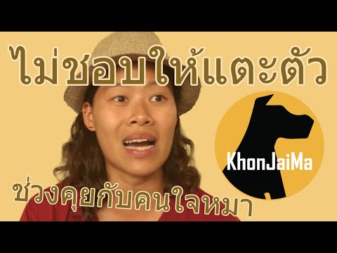 ช่วงคุยกับ Khon Jai Ma | ปัญหาหมาน้องหมาไม่ชอบให้แตะตัว