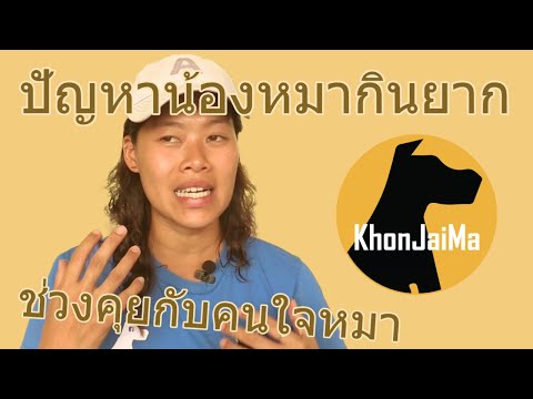 ช่วงคุยกับ Khon Jai Ma | ปัญหาน้องหมากินยาก