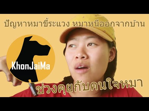 ช่วงคุยกับ Khon Jai Ma | ปัญหาหมาขี้ระแวง หมาหนีออกจากบ้าน