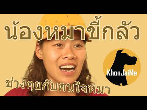 ช่วงคุยกับ Khon Jai Ma | ปัญหาหมาน้องหมาขี้กลัว