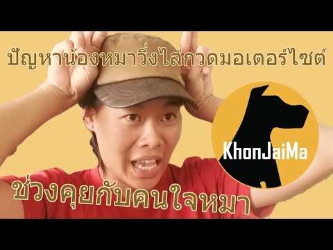 ช่วงคุยกับ Khon Jai Ma | ปัญหาน้องหมาวิ่งไล่กวดมอเตอร์ไซต์ กระโดดใส่ประตู