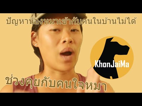 ช่วงคุยกับ Khon Jai Ma | ปัญหาน้องหมาเข้ากับคนในบ้านไม่ได้