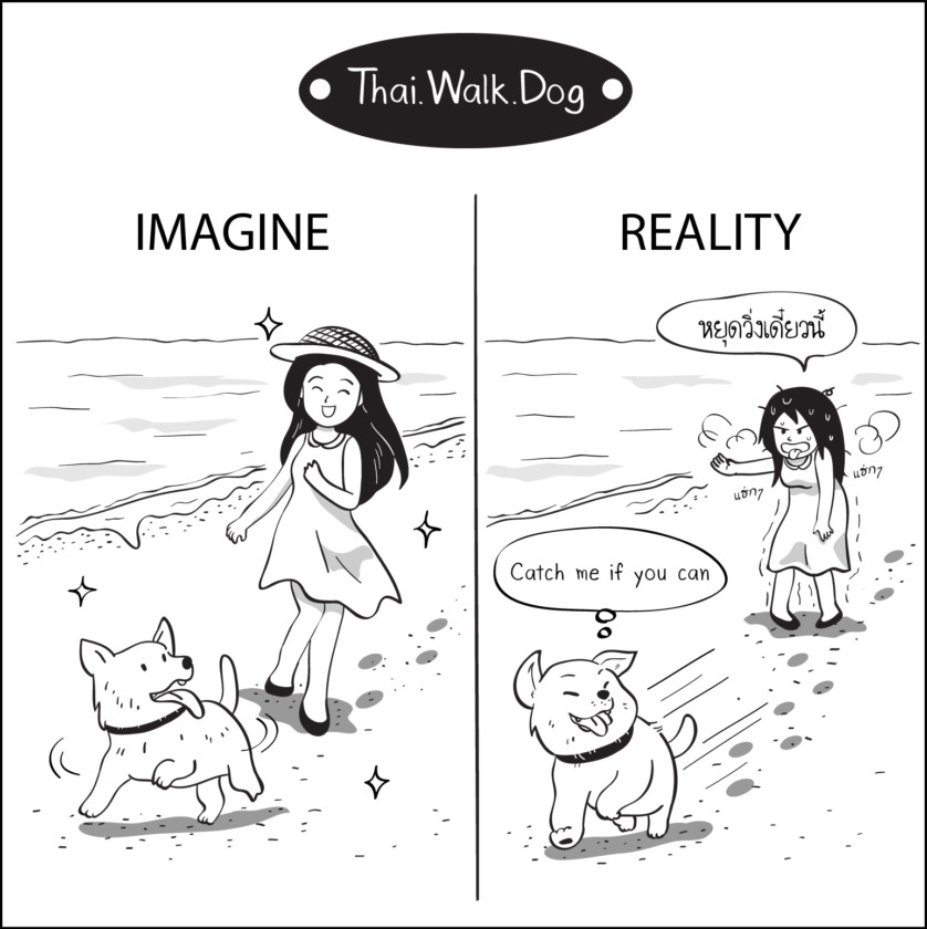 thai walk dog_3
